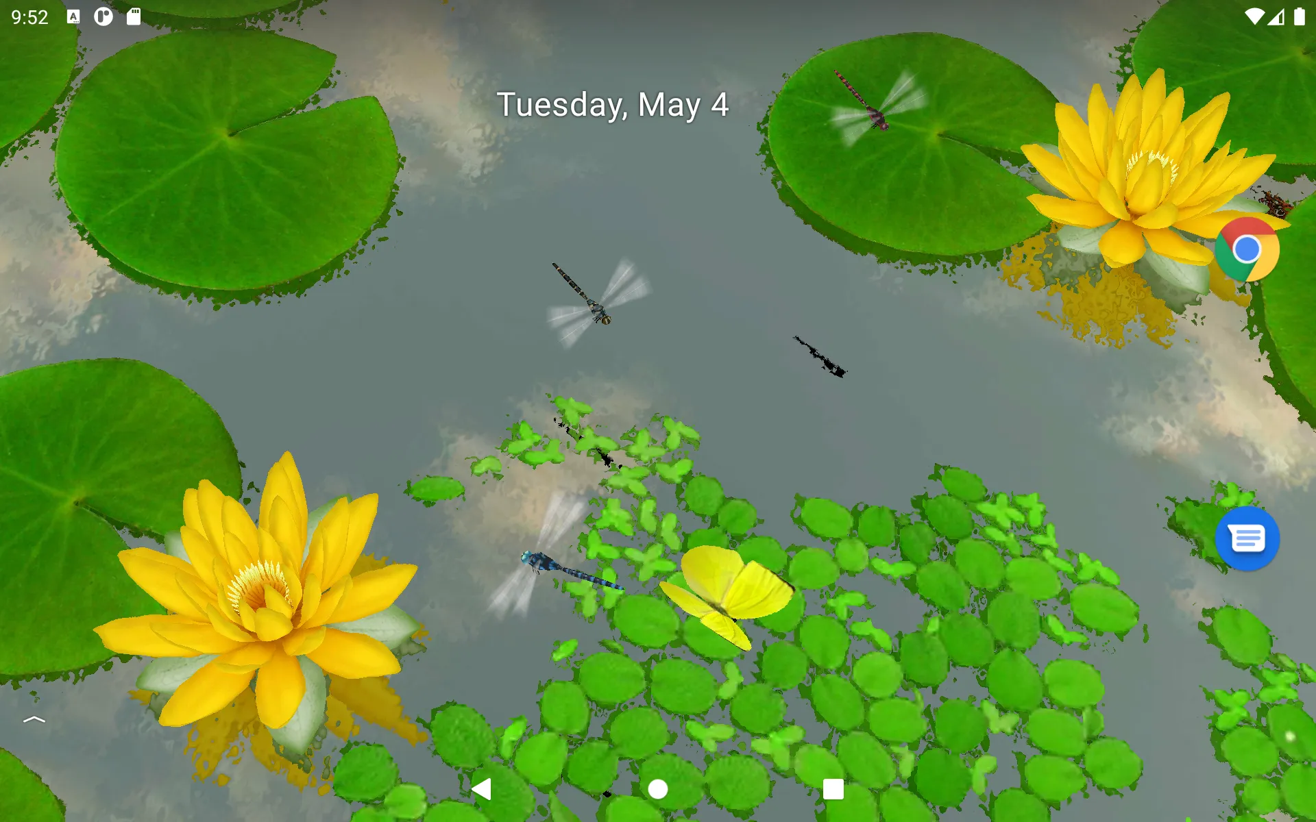 3D Lotus Pond Live Wallpaper | Indus Appstore | Screenshot