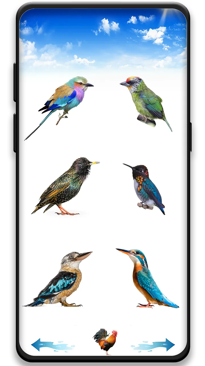 Bird sounds | Indus Appstore | Screenshot