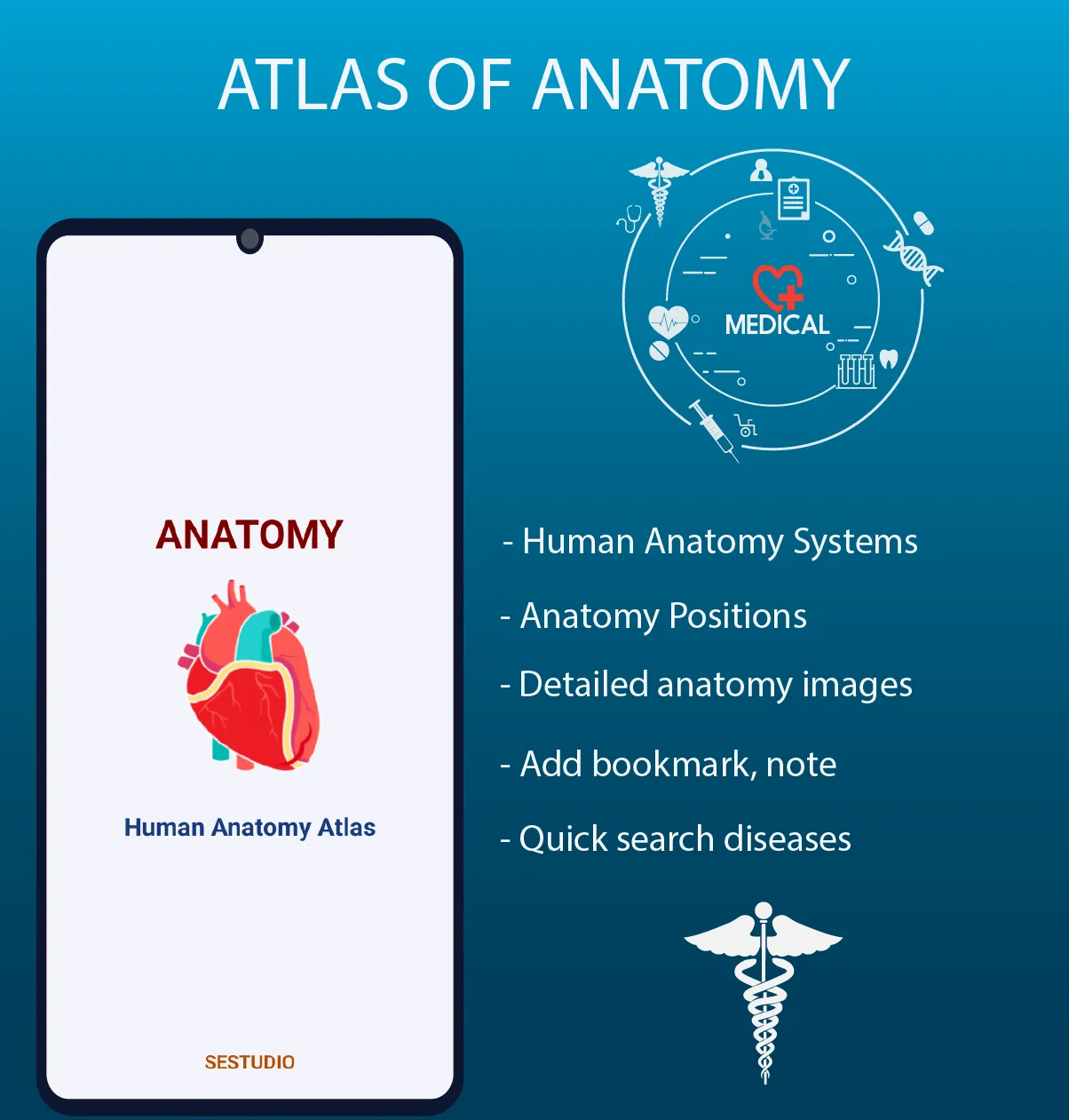 Human Anatomy Handbook | Indus Appstore | Screenshot