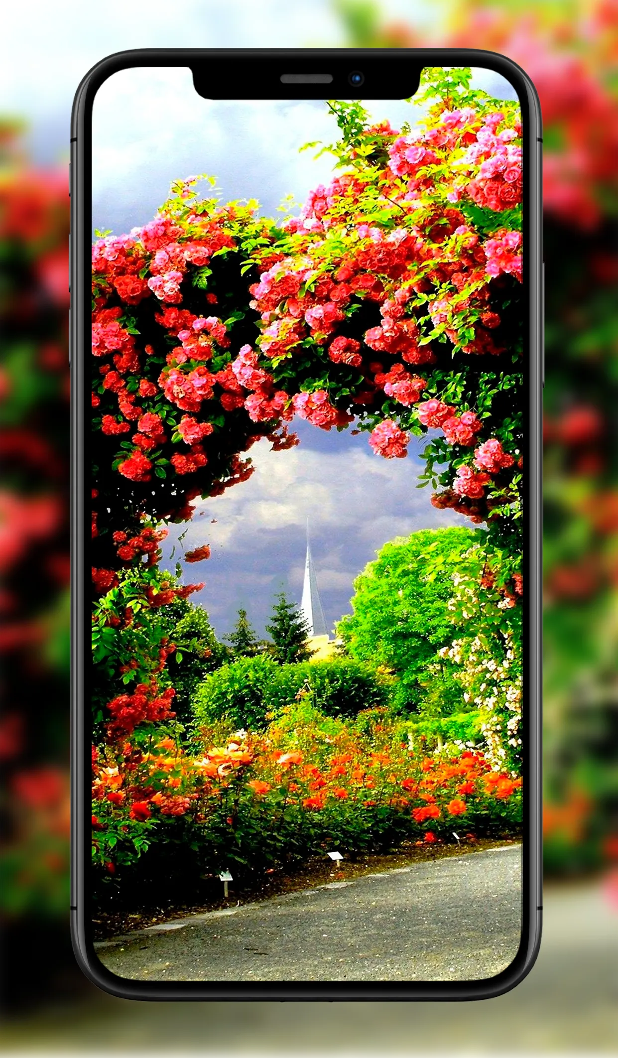 Garden Wallpapers | Indus Appstore | Screenshot