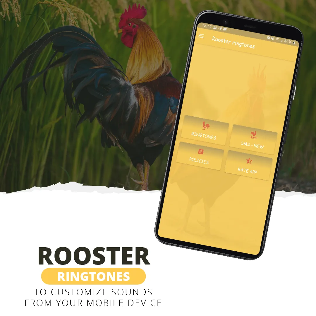 Rooster ringtones | Indus Appstore | Screenshot