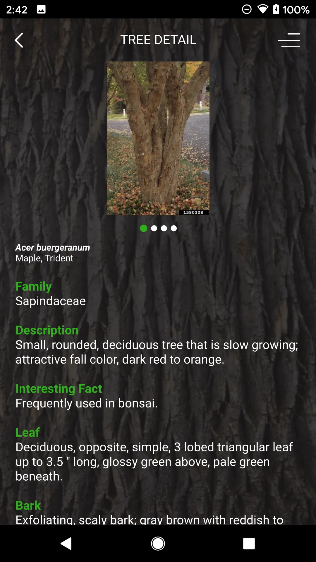 My Tree ID | Indus Appstore | Screenshot