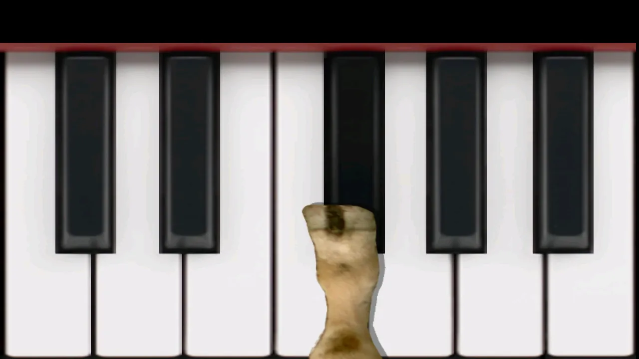 Cow Piano | Indus Appstore | Screenshot