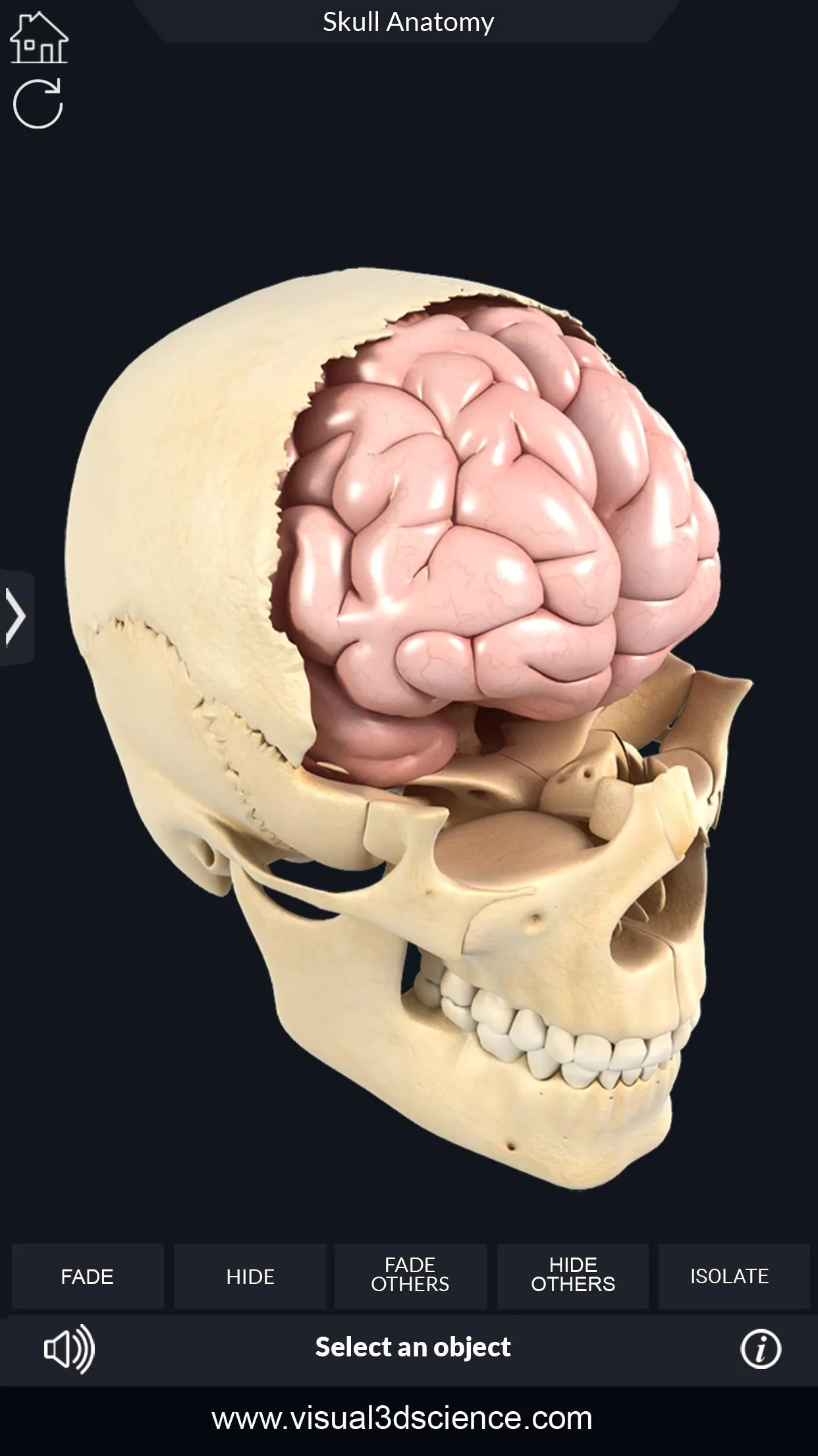 Skull Anatomy Pro. | Indus Appstore | Screenshot