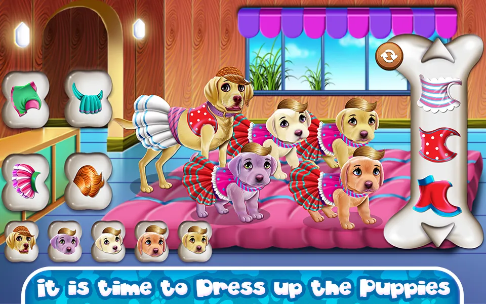 Labrador Quadruplets Caring | Indus Appstore | Screenshot