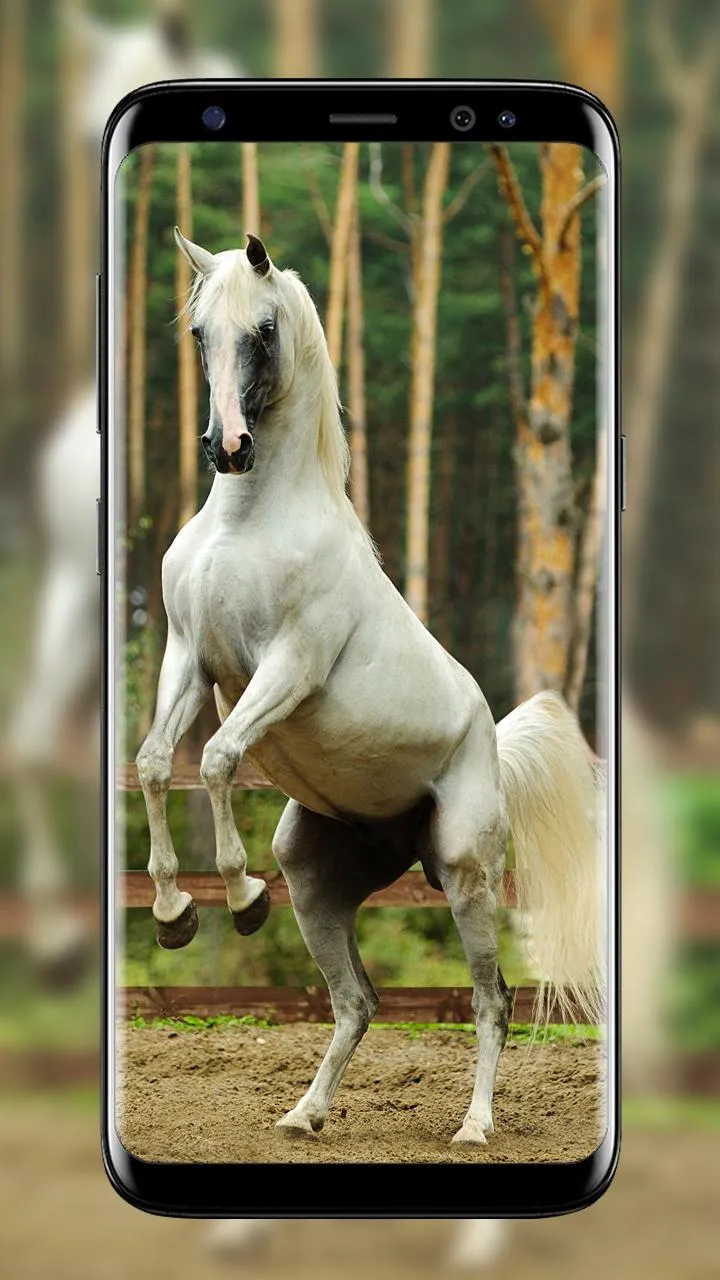 Horse Wallpapers | Indus Appstore | Screenshot