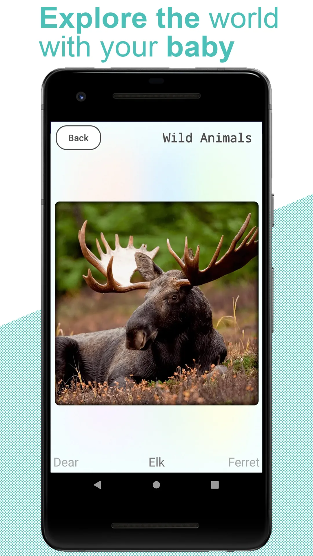 Flashcards for kids: Animals | Indus Appstore | Screenshot