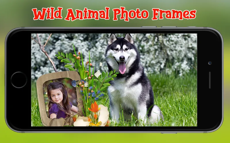 Wild Animal Photo Frames | Indus Appstore | Screenshot