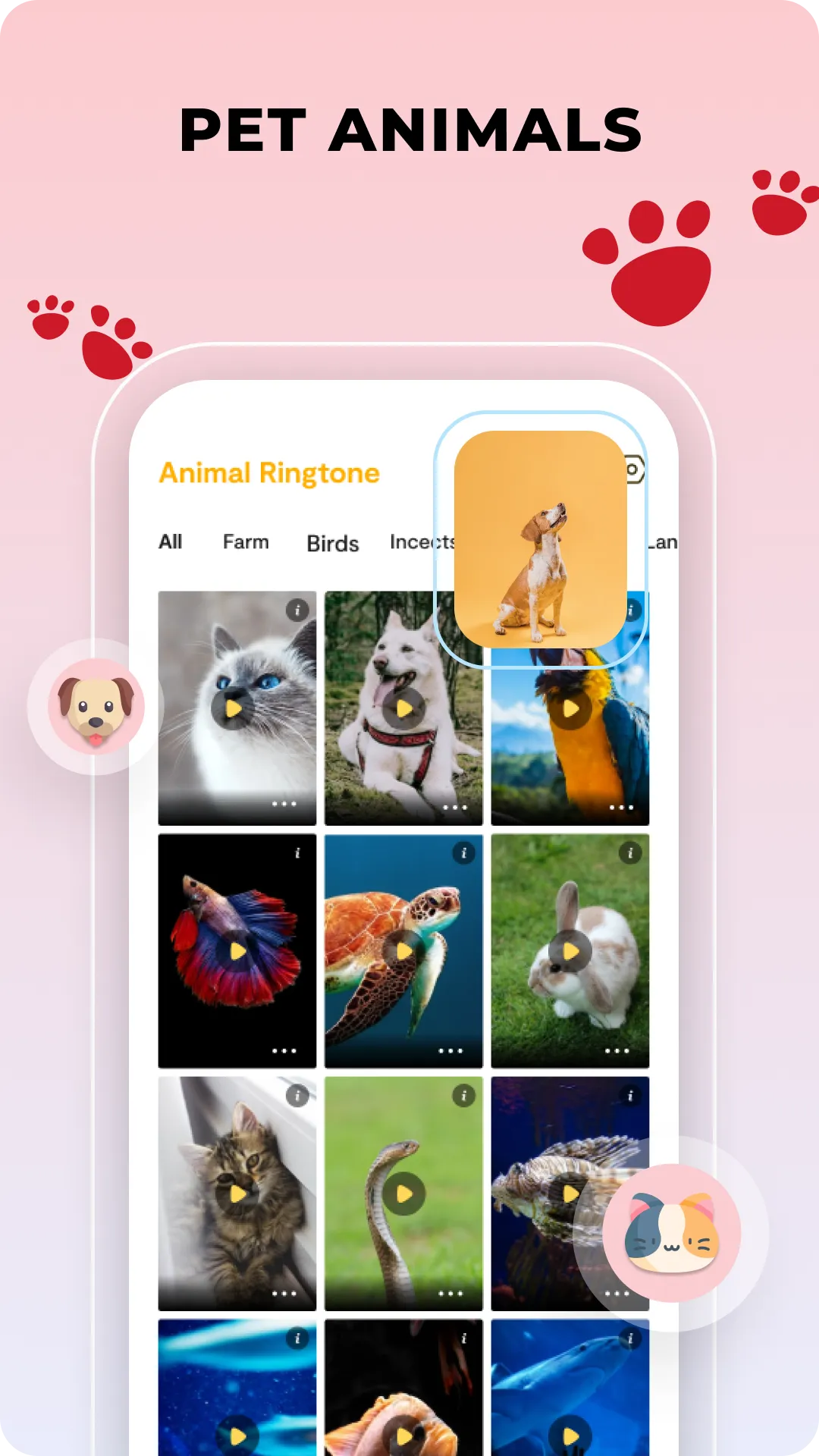 Animal Ringtones: Bird Sounds | Indus Appstore | Screenshot