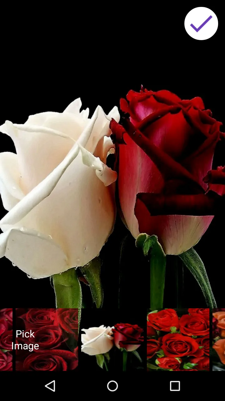 Roses Live Wallpapers | Indus Appstore | Screenshot