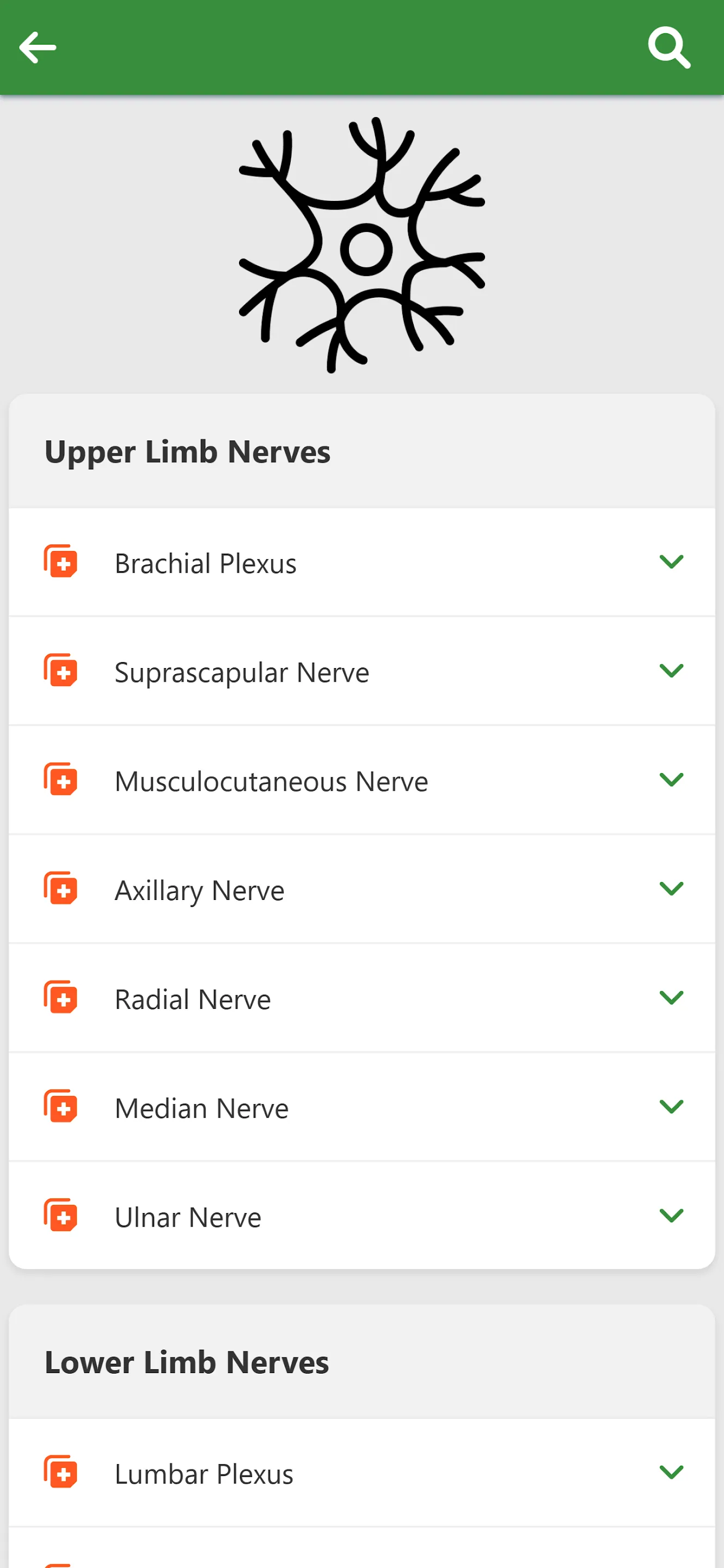 Orthopedic Anatomy | Indus Appstore | Screenshot