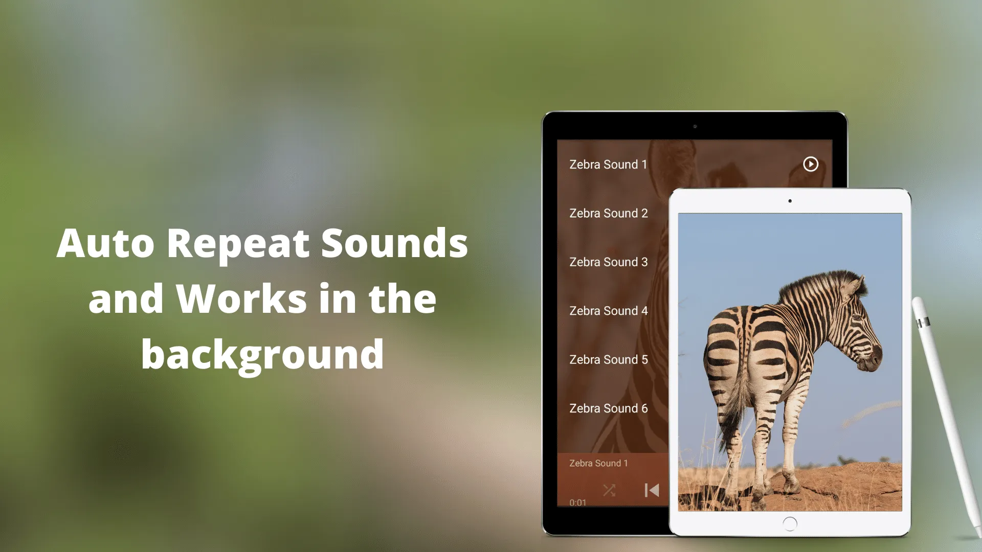 Zebra Sounds | Indus Appstore | Screenshot