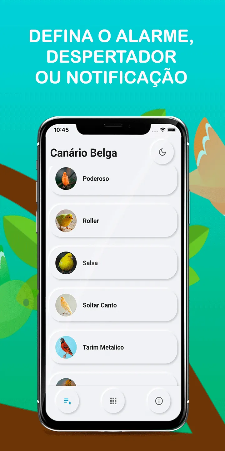 Canary Bird Belgian Corners | Indus Appstore | Screenshot