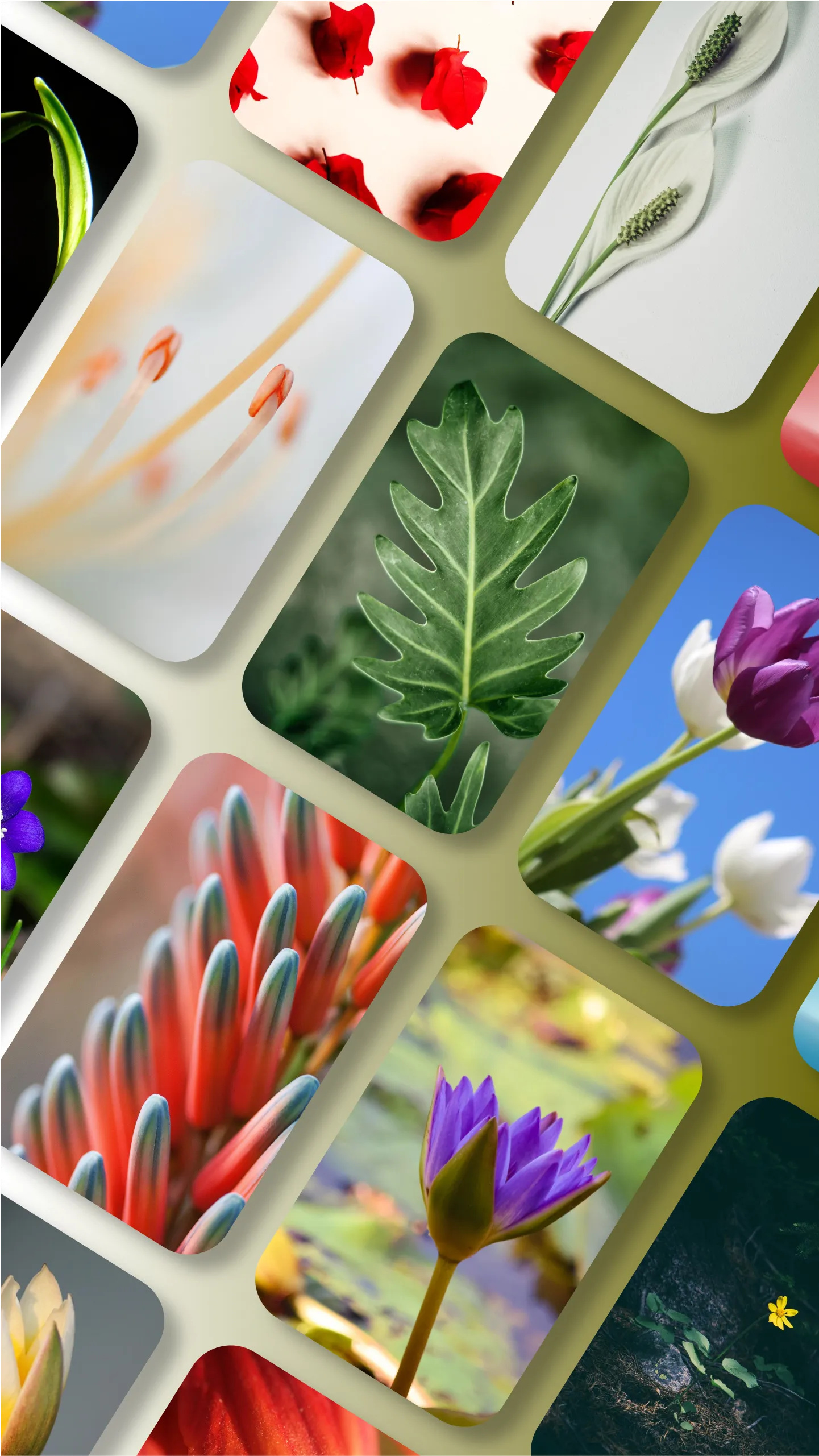 Pure Launcher - Pixel Edition | Indus Appstore | Screenshot