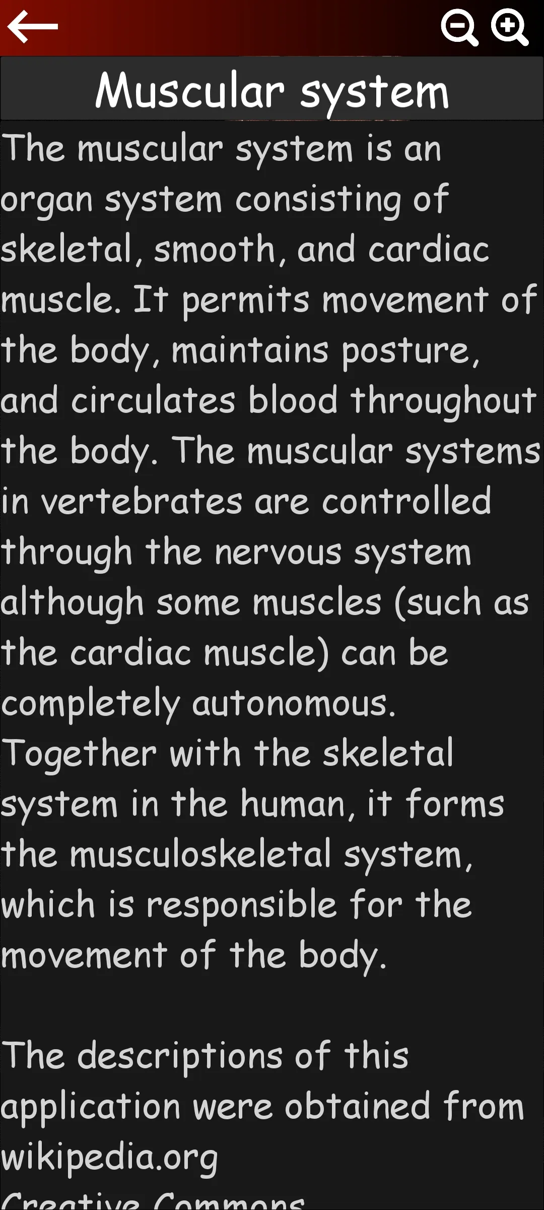 Muscular System 3D (anatomy) | Indus Appstore | Screenshot