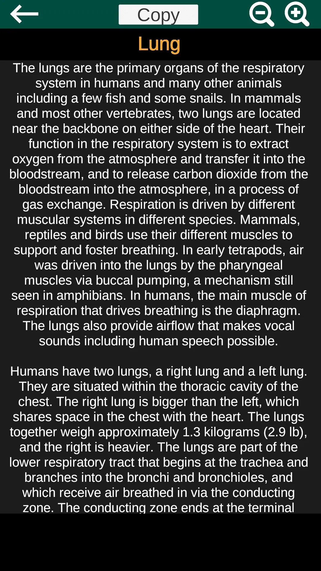 Internal Organs in 3D Anatomy | Indus Appstore | Screenshot