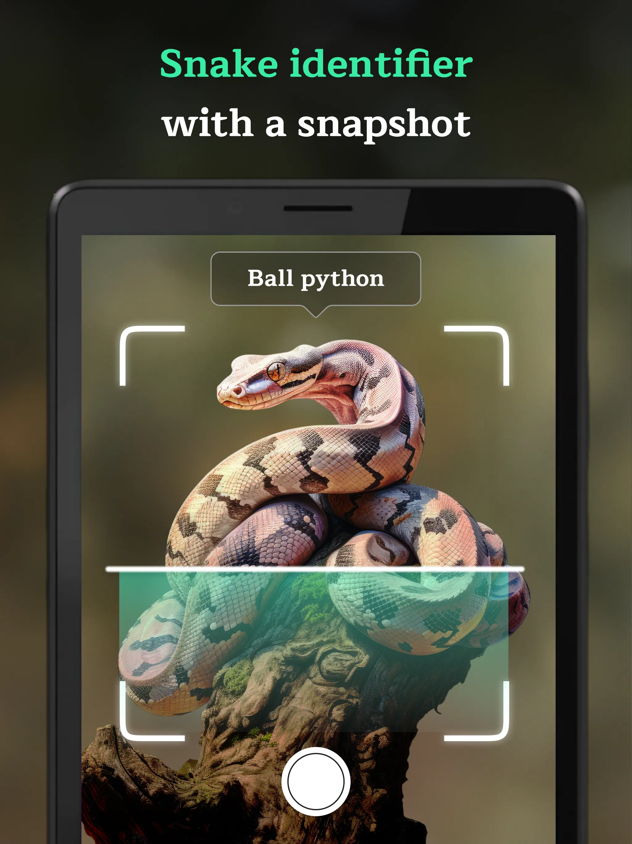 Snake Identifier AI Scanner | Indus Appstore | Screenshot