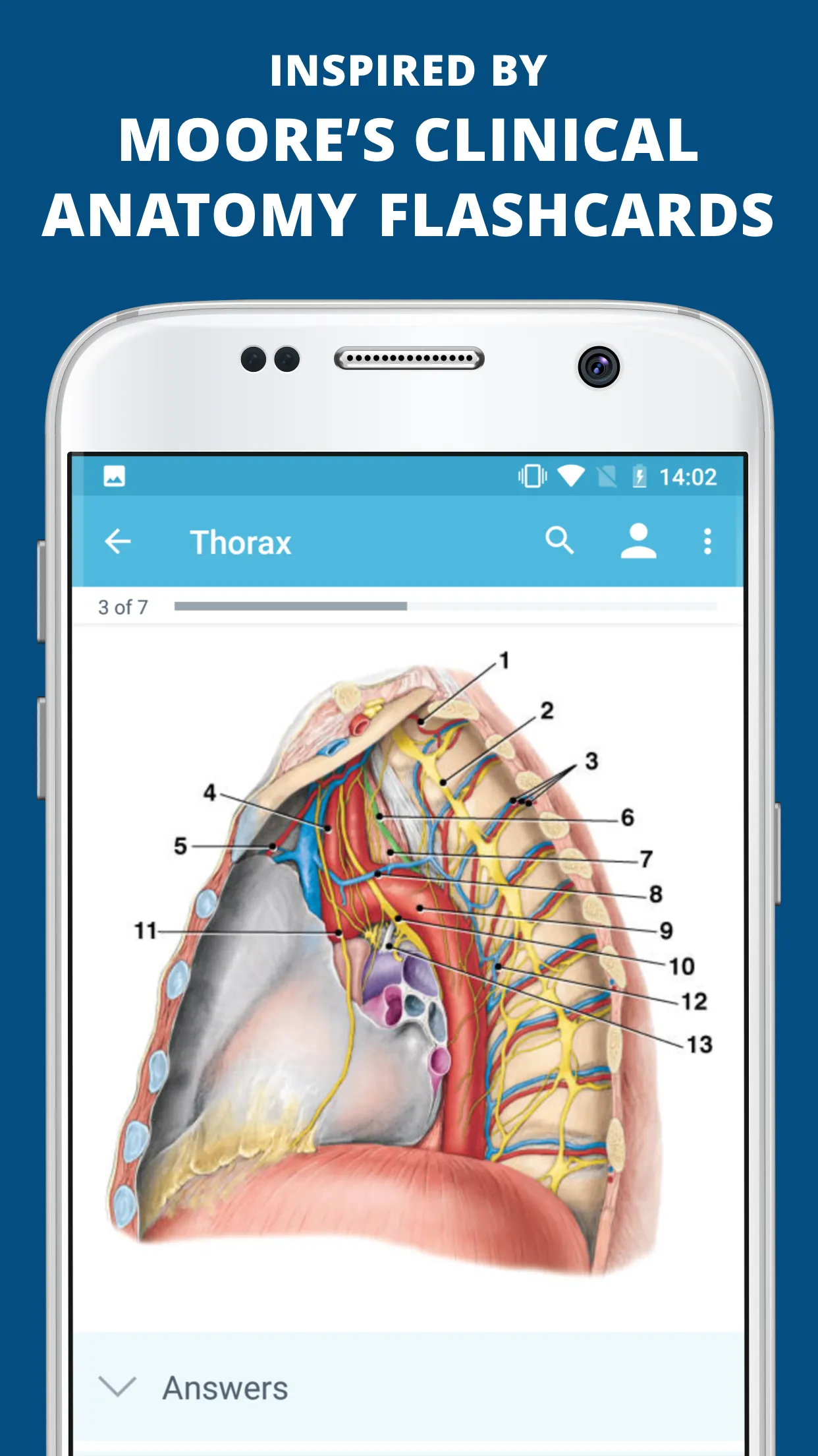 USMLE Clinical Anatomy | Indus Appstore | Screenshot