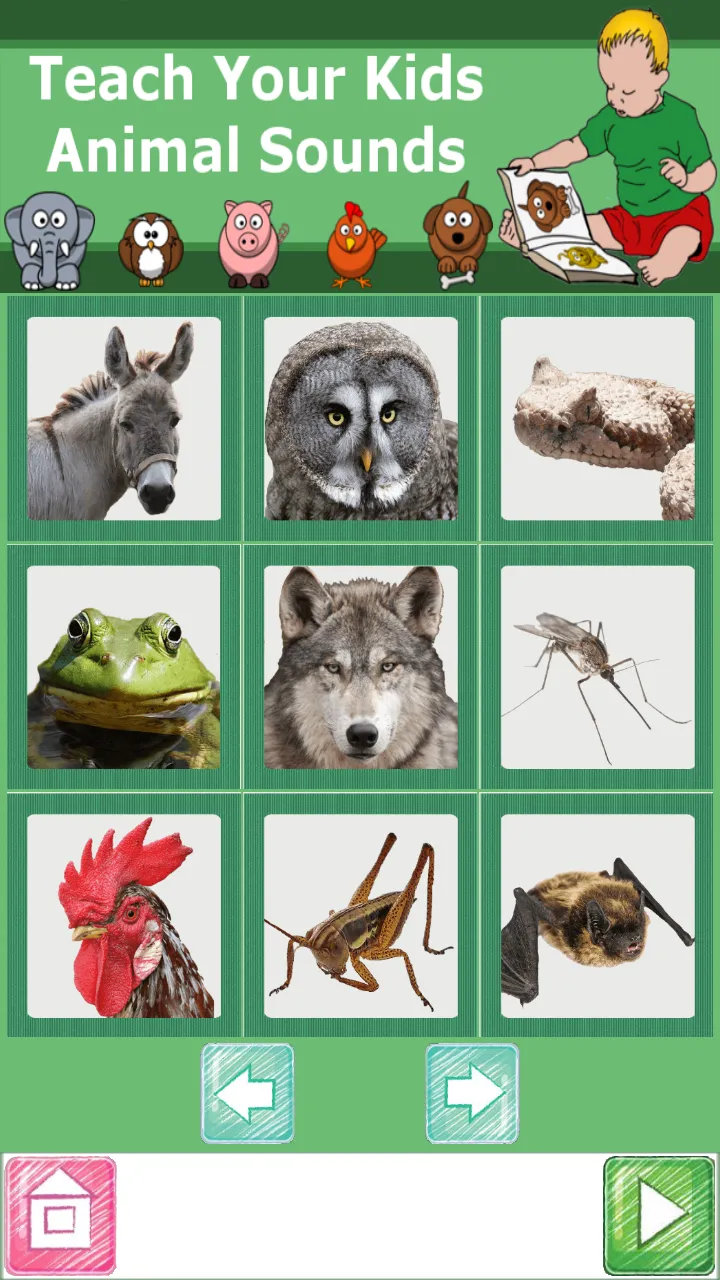 Teach Your Kids Animal Sounds | Indus Appstore | Screenshot