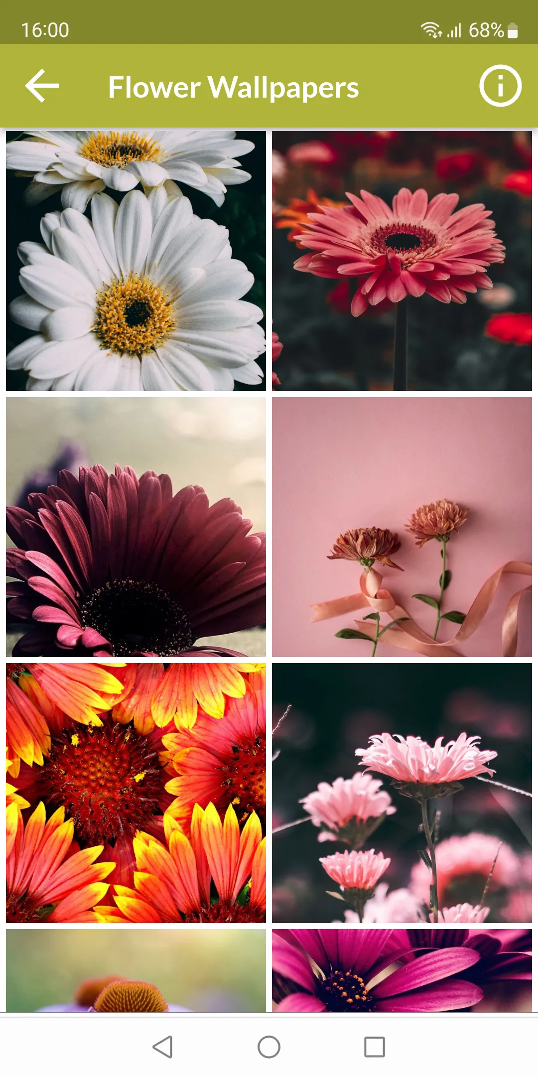 Flower Wallpapers | Indus Appstore | Screenshot