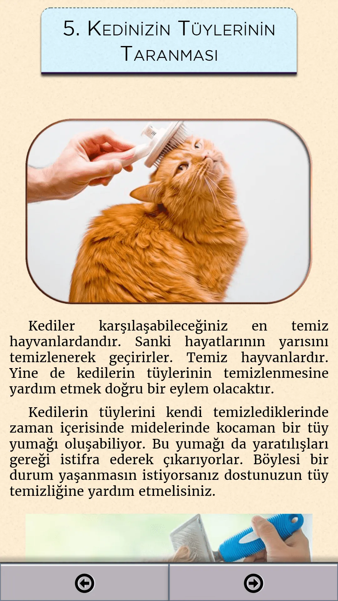 Kedi Bakımı | Indus Appstore | Screenshot