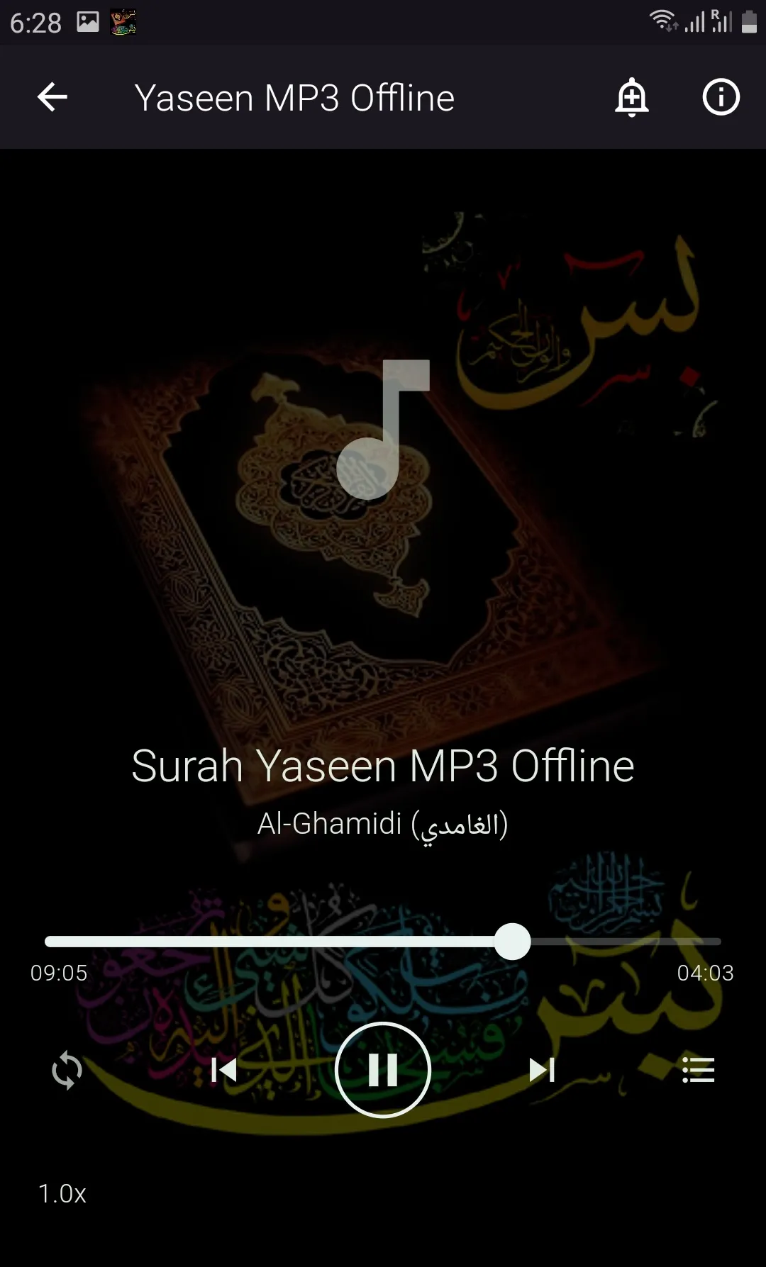 Yaseen MP3 Offline | Indus Appstore | Screenshot