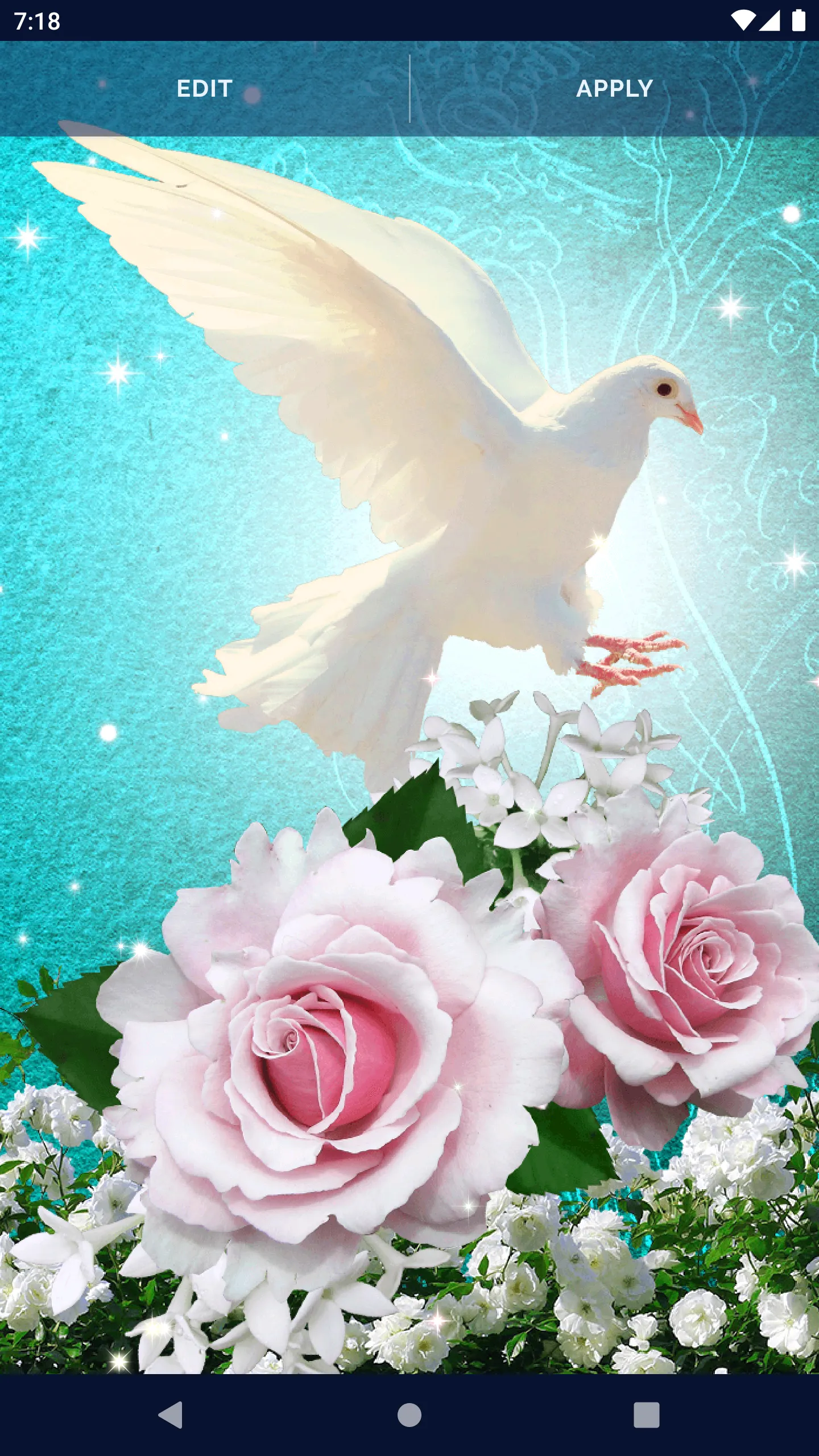 Dove Romantic Live Wallpaper | Indus Appstore | Screenshot