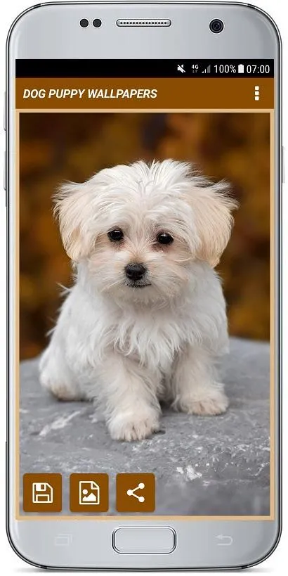 DOG PUPPY WALLPAPERS | Indus Appstore | Screenshot