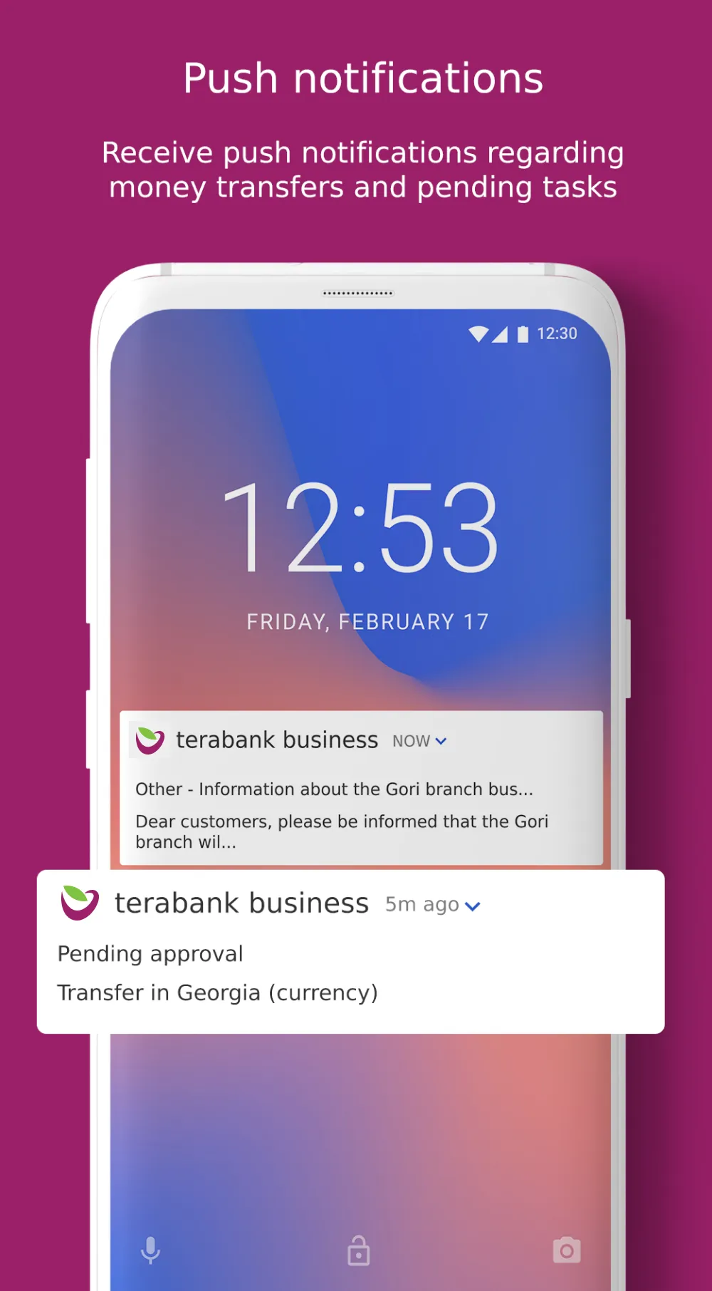 Terabank mBusiness | Indus Appstore | Screenshot