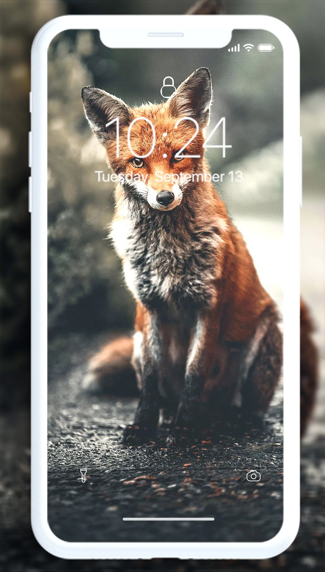 Fox Wallpaper | Indus Appstore | Screenshot