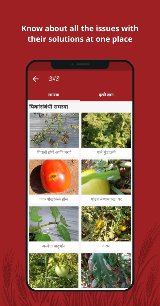 Agrostar: Kisan Agridoctor App | Indus Appstore | Screenshot