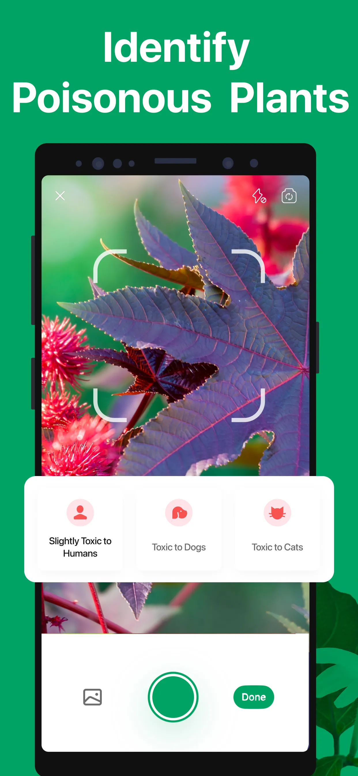 PictureThis - Plant Identifier | Indus Appstore | Screenshot