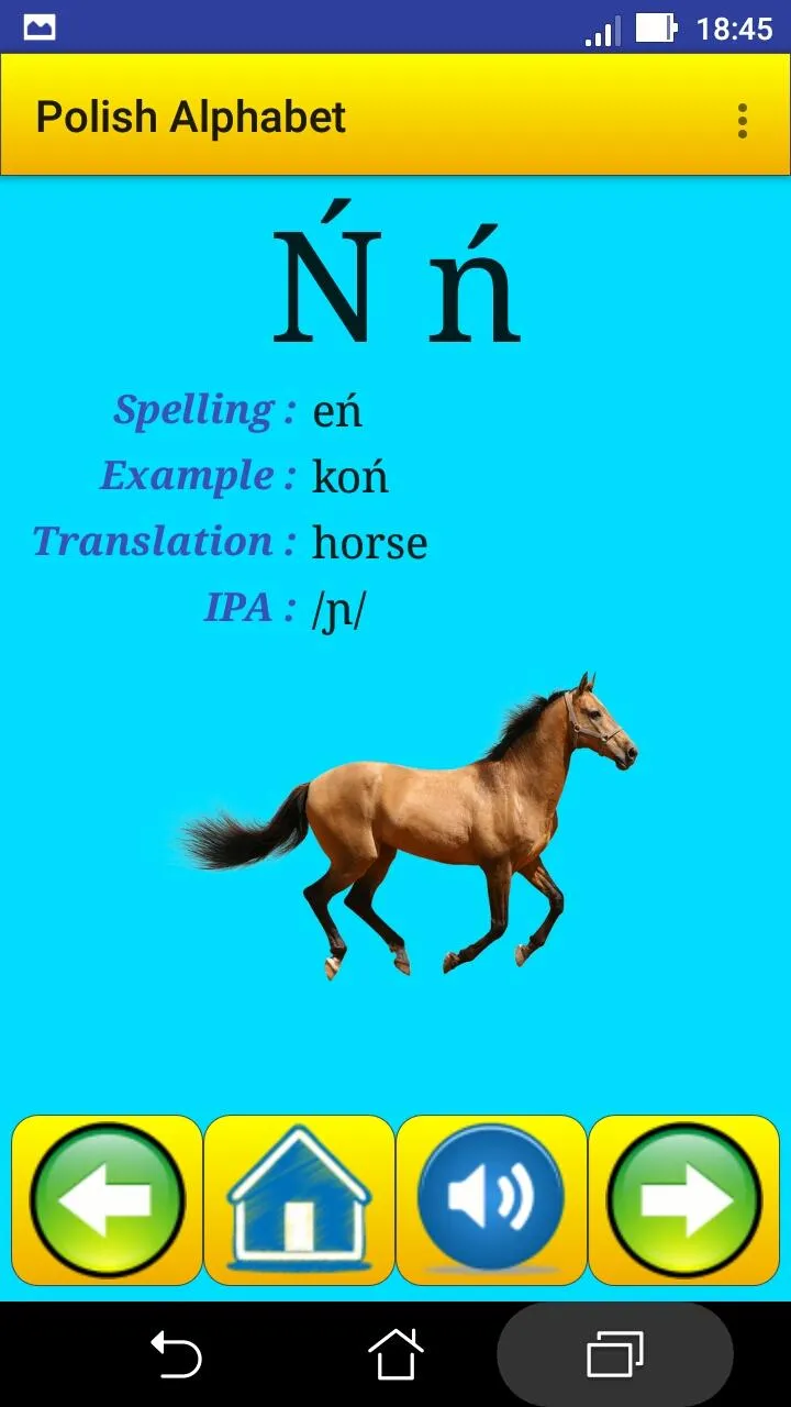 Polish alphabet for students | Indus Appstore | Screenshot