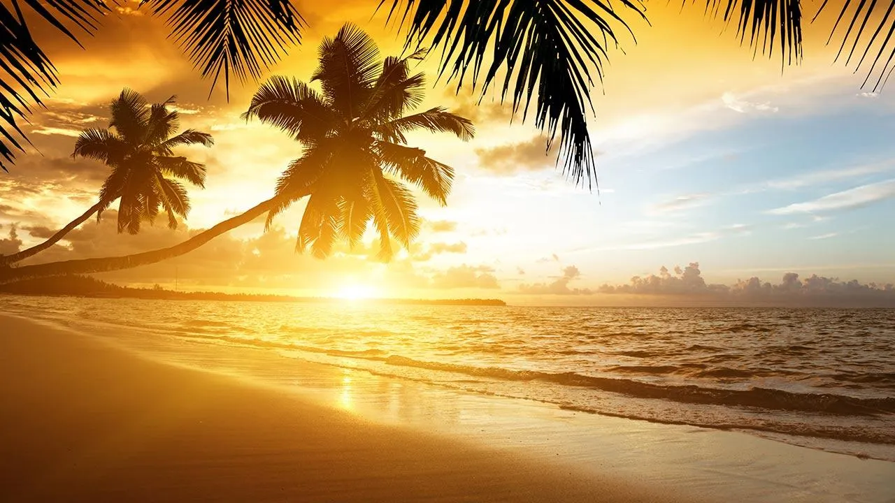 Beach Sunset Live Wallpaper | Indus Appstore | Screenshot