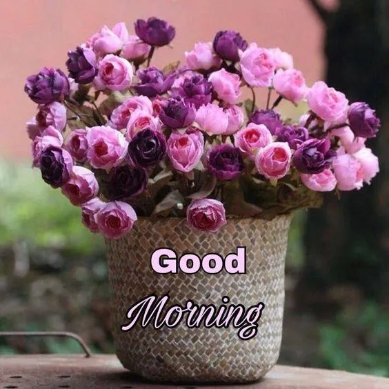 Good Morning Flowers | Indus Appstore | Screenshot