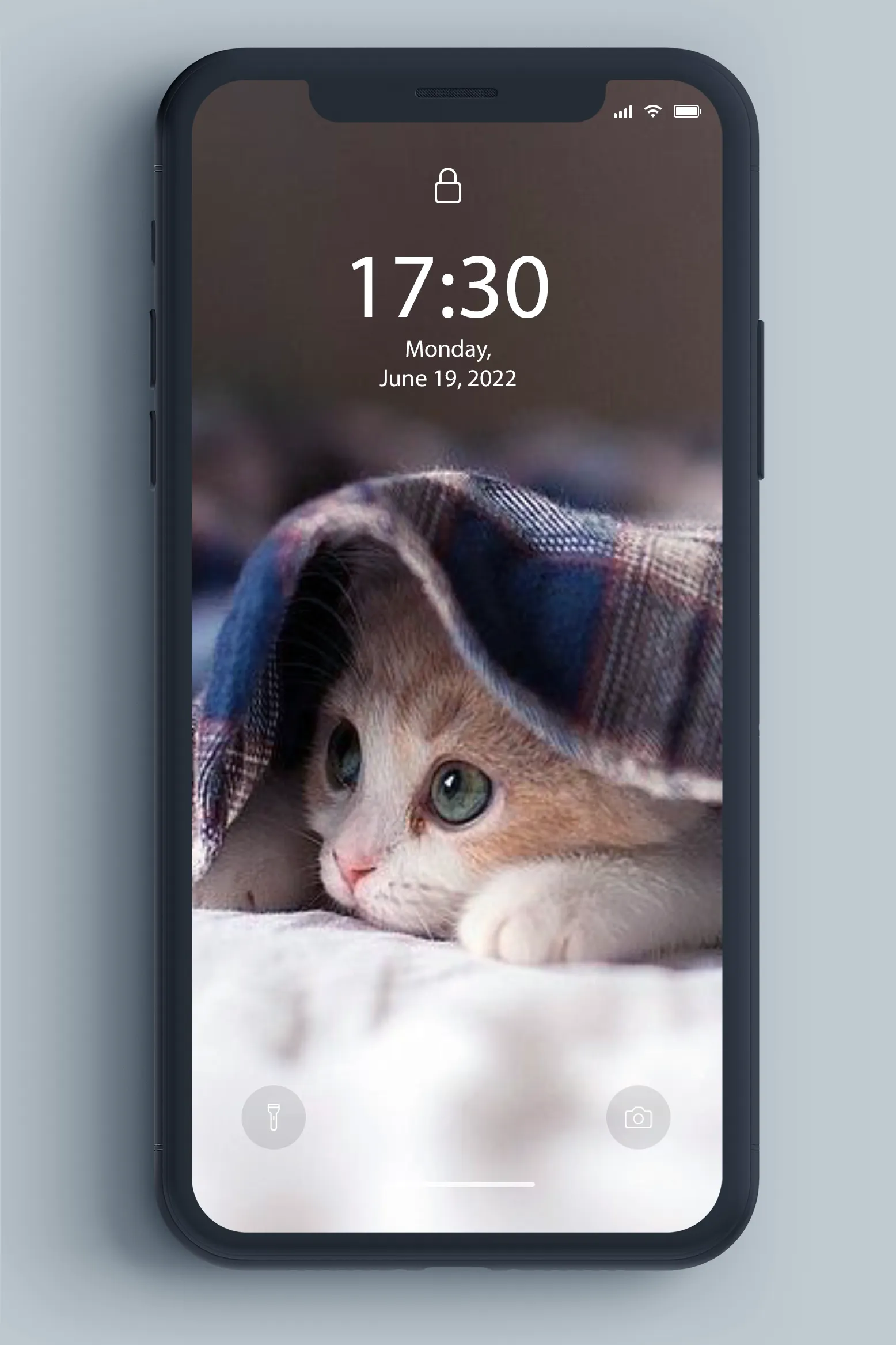 Kitten Wallpaper | Indus Appstore | Screenshot