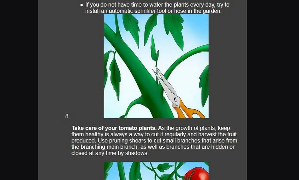 Detailed tomato cultivation | Indus Appstore | Screenshot