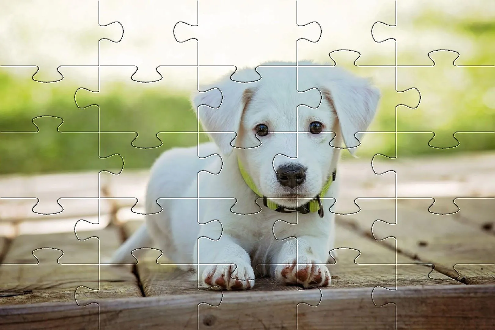 Dogs jigsaw puzzles | Indus Appstore | Screenshot