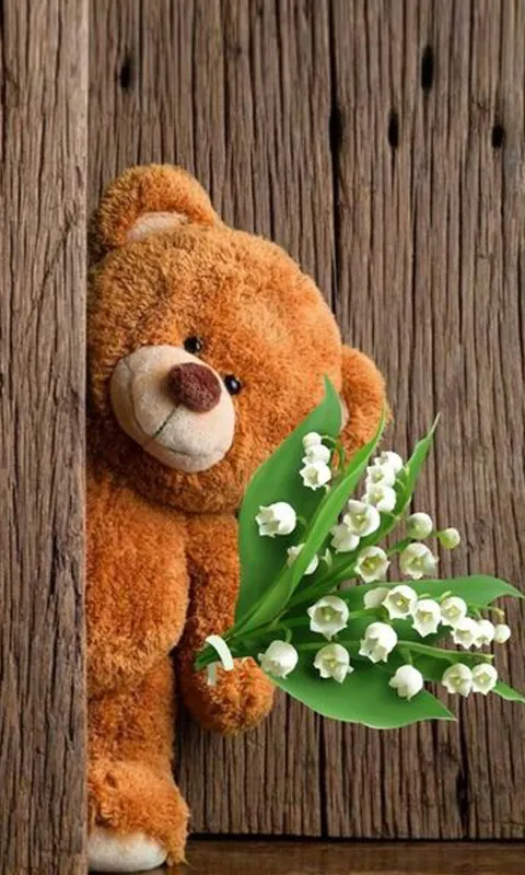 Teddy Bear Wallpaper | Indus Appstore | Screenshot