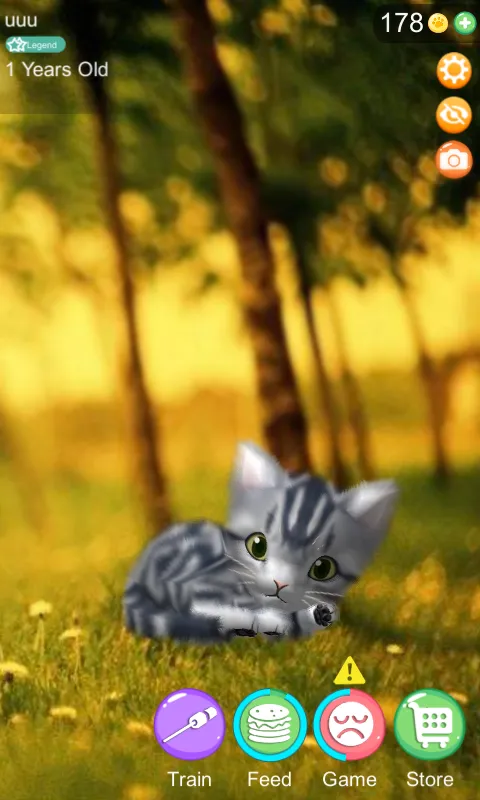 AR Cat | Indus Appstore | Screenshot