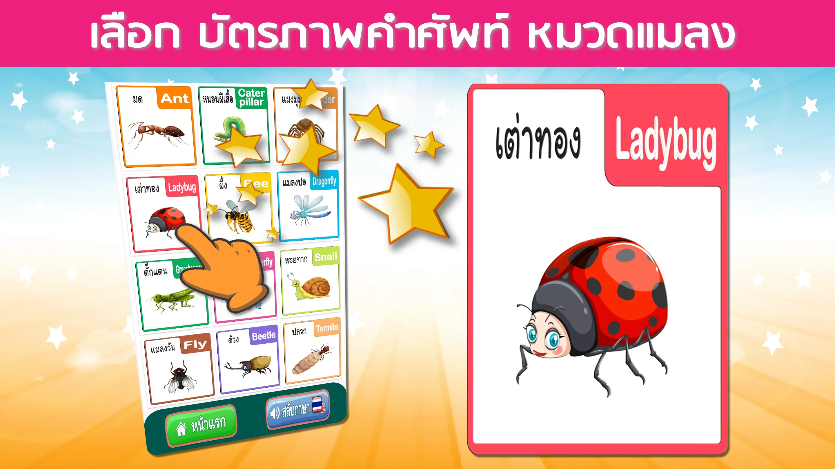 บัตรคำศัพท์ สัตว์ ผลไม้ รูปทรง | Indus Appstore | Screenshot