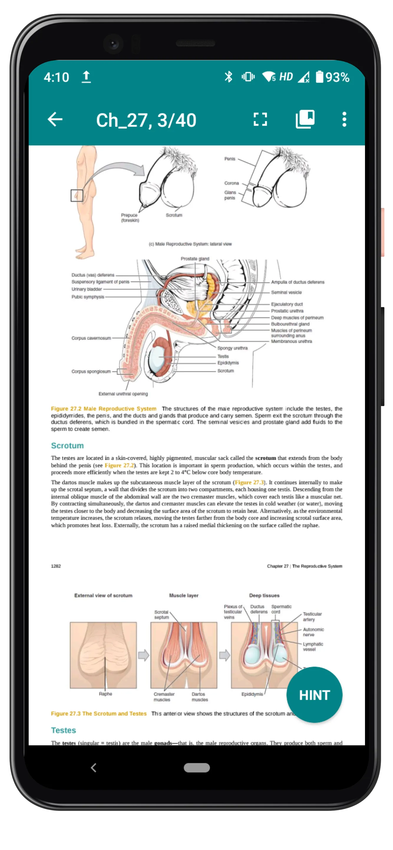 Anatomy and Physiology | Indus Appstore | Screenshot