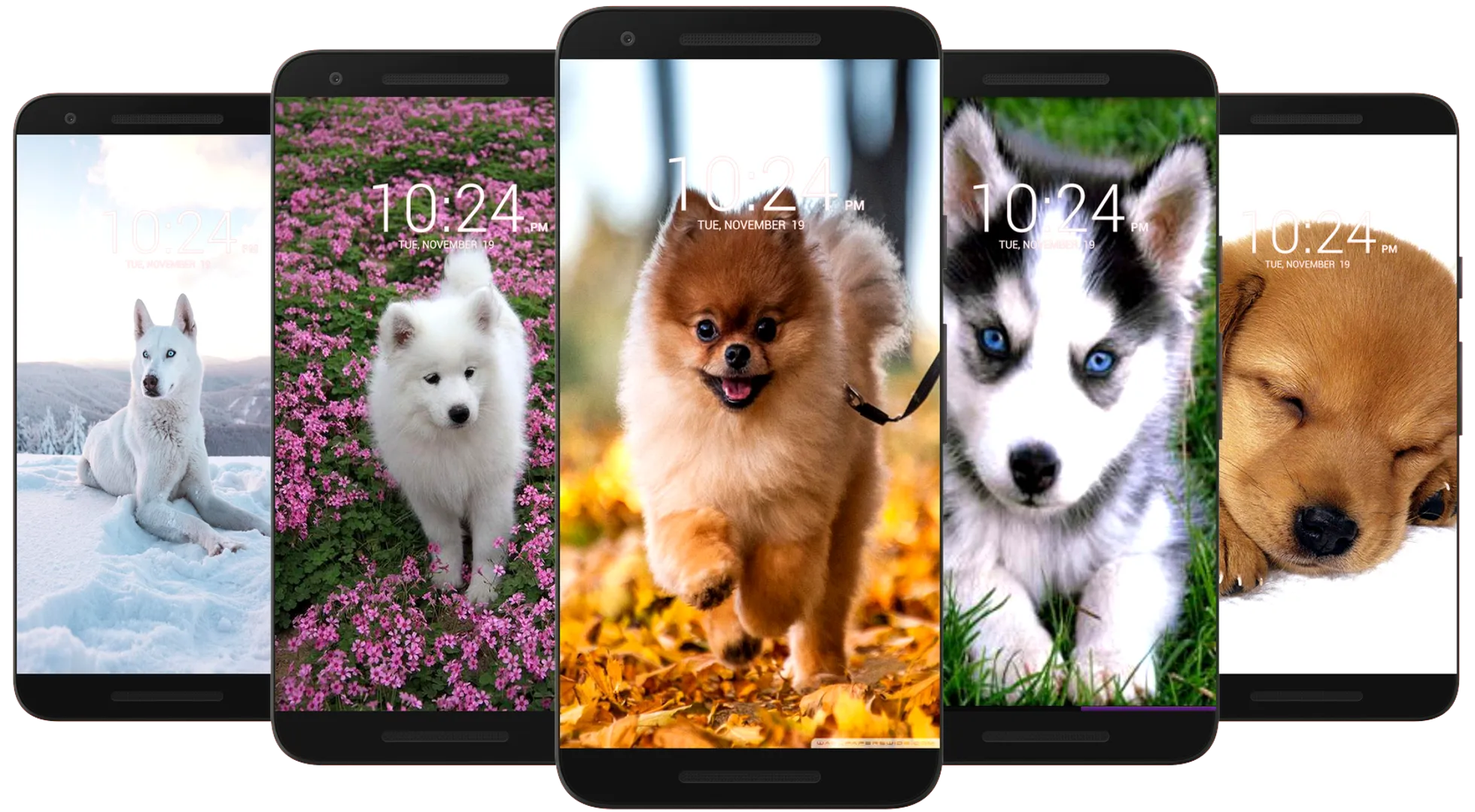 Dog Wallpaper HD | Indus Appstore | Screenshot