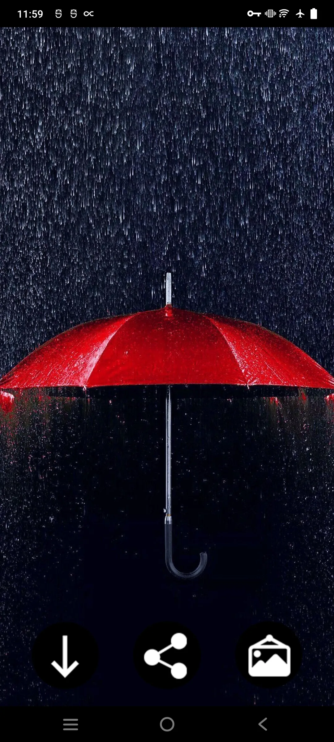 Umbrella Wallpapers | Indus Appstore | Screenshot