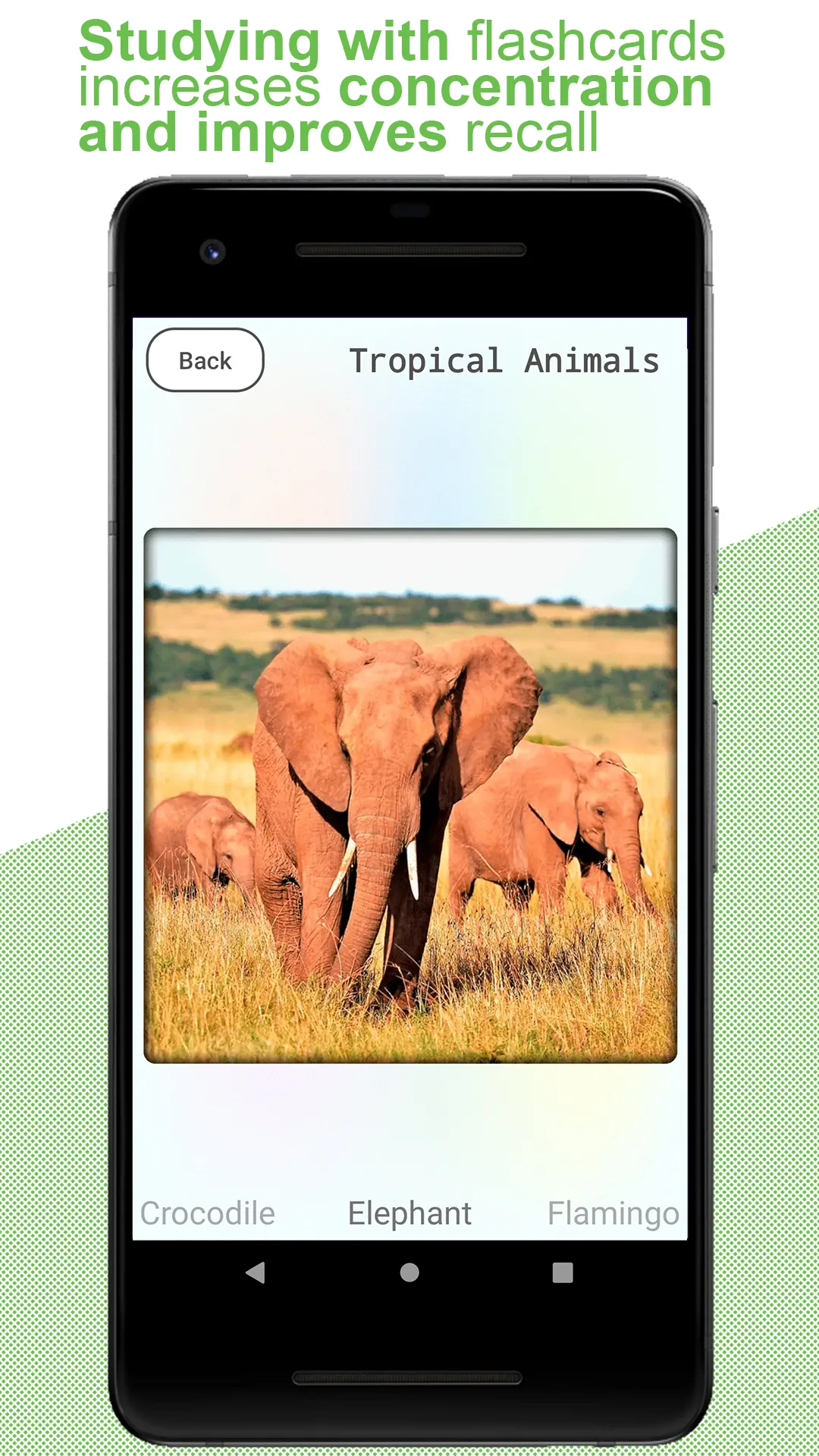 Flashcards for kids: Animals | Indus Appstore | Screenshot