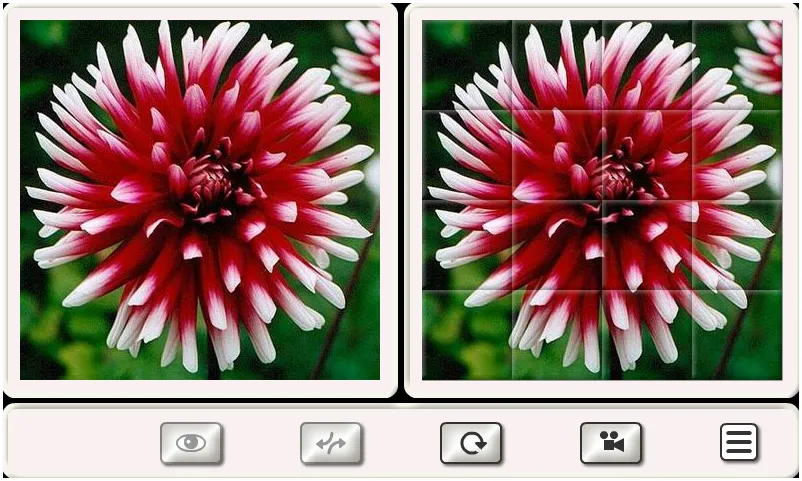 Guess the Flower: Tile Puzzles | Indus Appstore | Screenshot