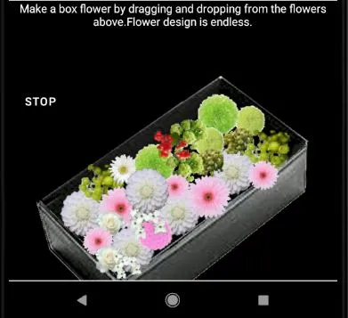 Flower Arrangement_3 | Indus Appstore | Screenshot