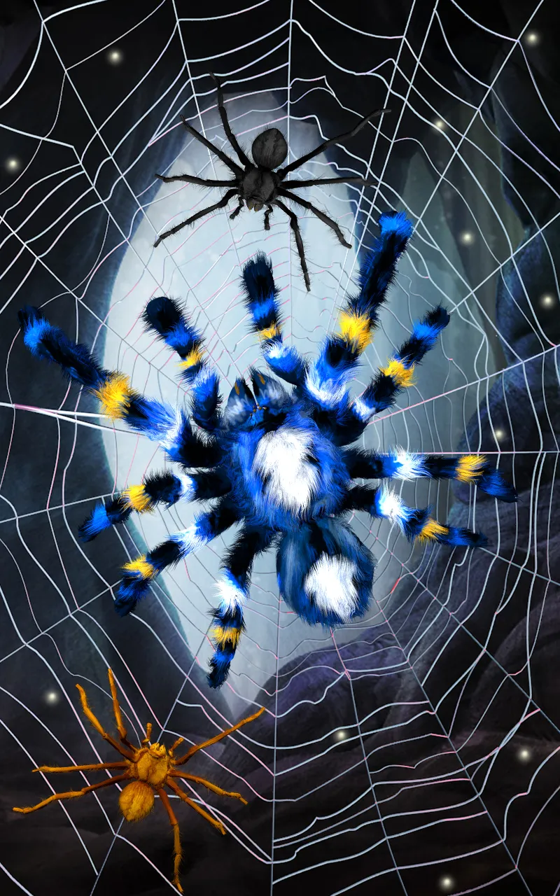 Spider, live wallpaper | Indus Appstore | Screenshot