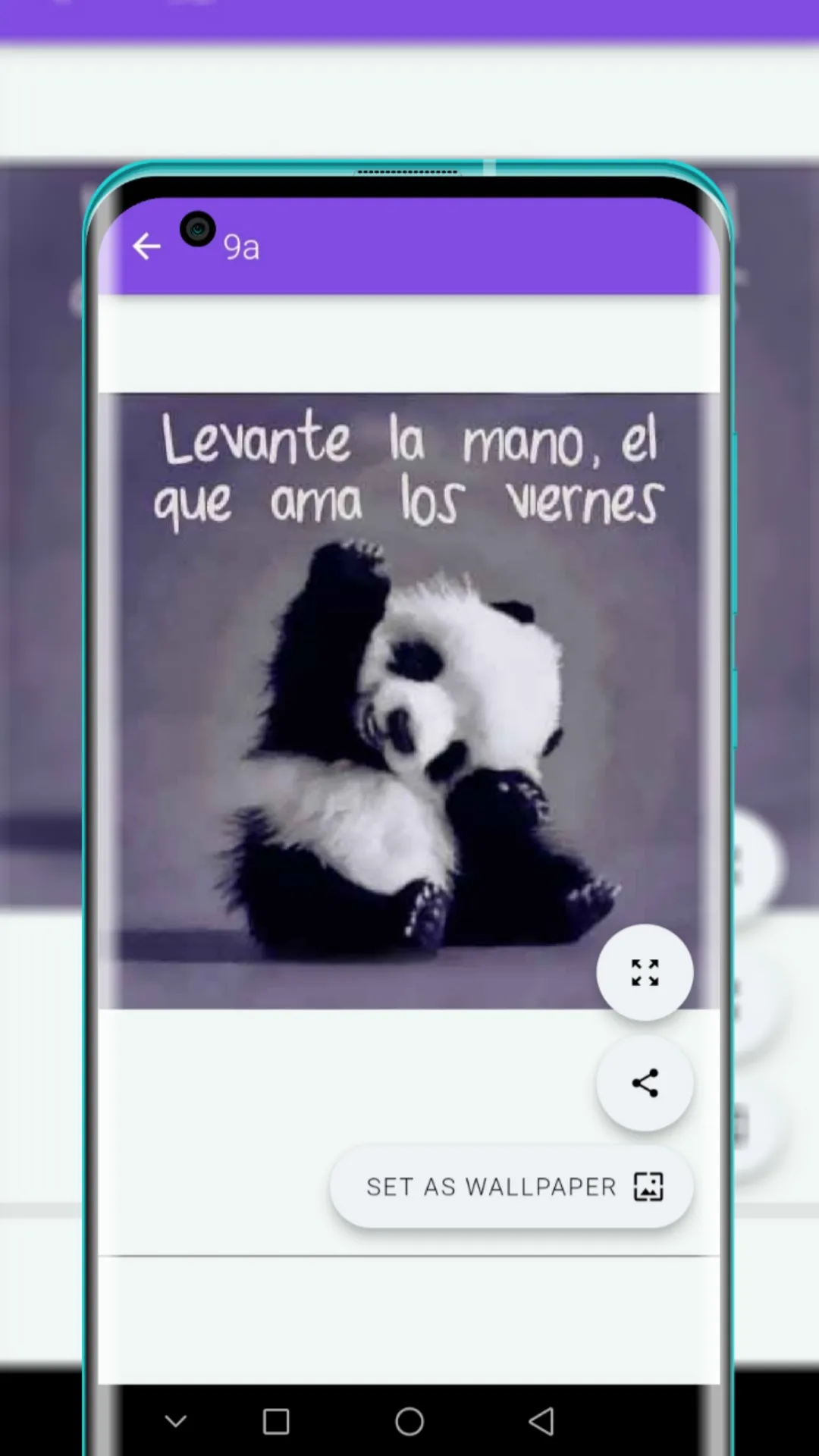 Frases Días de la Semana | Indus Appstore | Screenshot