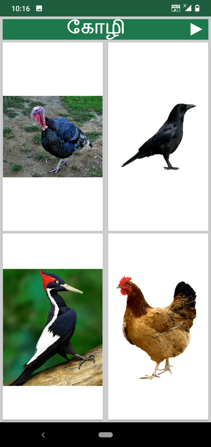 Tamil Animals and Birds - Quiz | Indus Appstore | Screenshot